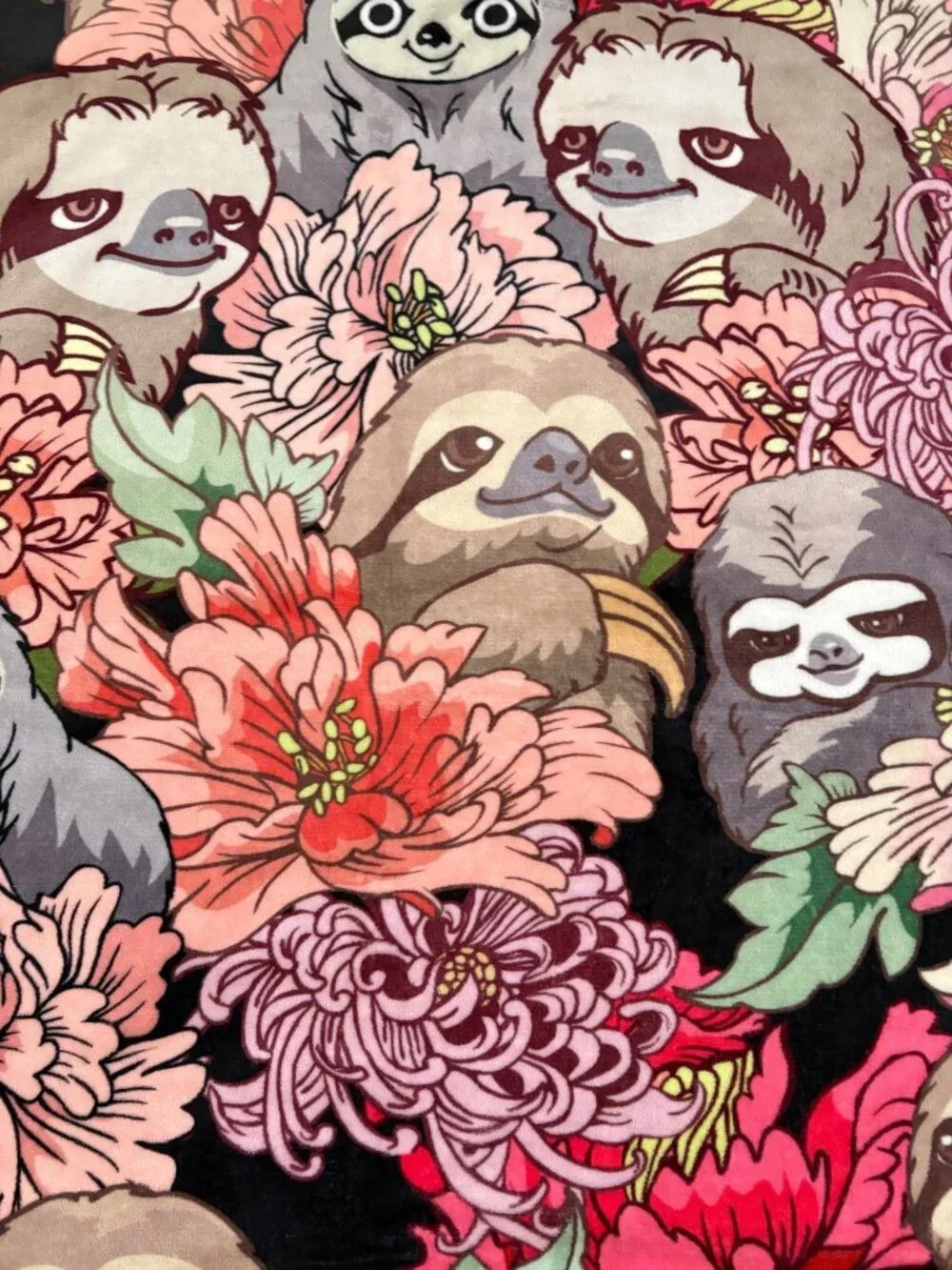 Plush Whimsical Sloth Throw With Sherpa Novelty Cute Kawaii Measures 50 x 60